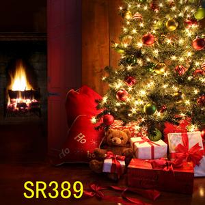 8'x8' SR389